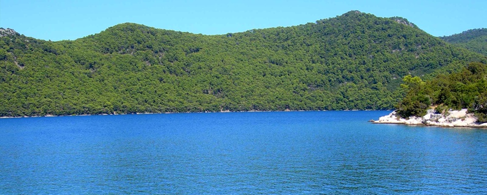 Mljet